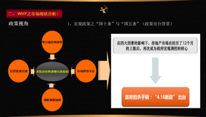 房地产营销策划全案解析 从策略到执行